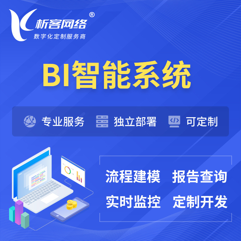 济南BI智能系统 | BI数据可视化
