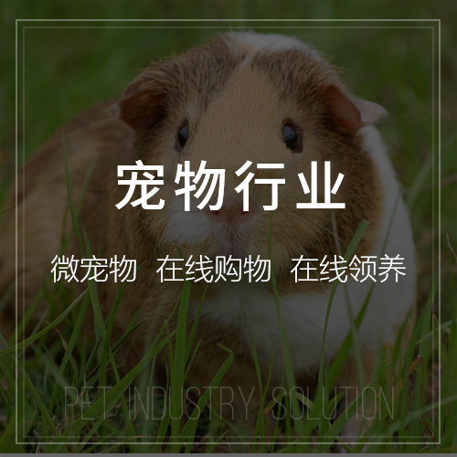 济南问诊系统制作如何实现远程医疗协作